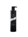 DIXIDOX de LUXE STEEL AND SILK TREATMENT SHAMPOO